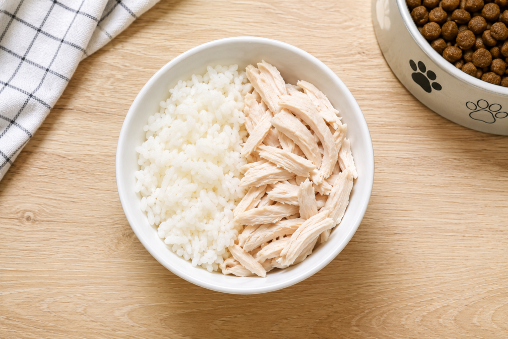 Bland diet of boiled chicken and rice recommended for puppies with diarrhea