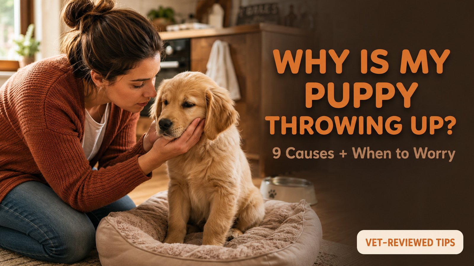 WHY IS MY PUPPY THROWING UP :Worried puppy owner checking on golden retriever puppy that has been throwing up